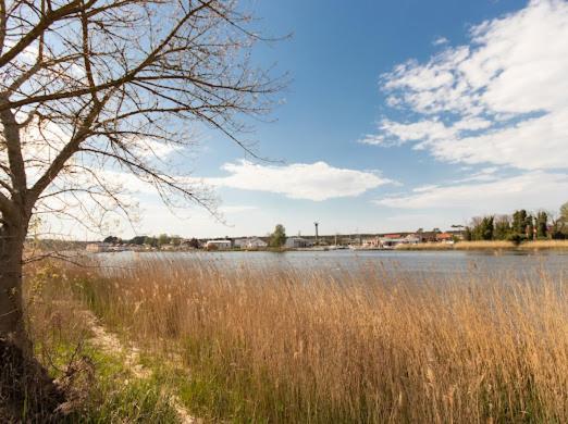 Alexis Apartament Dziwnów Dış mekan fotoğraf